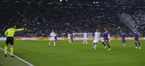 1676221940750062367.gif IMG_5904.gif